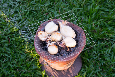 High angle view of seafood on barbecue grill