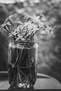 Close-up of glass jar on table
