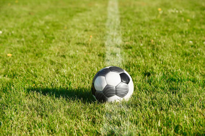 Soccer ball on line at the grass soccer field