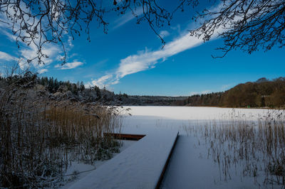 View over frozen lake kulsø, near bryrup, jutland