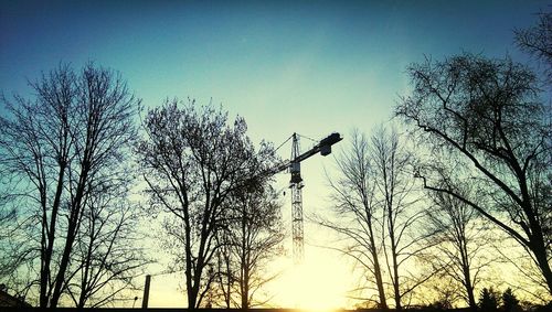 Low angle view of bare trees against sky at sunset