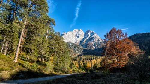 Scenic view of trees and mountains against blue sky