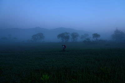 Man walking on grassy field during foggy weather