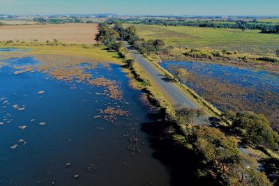 High angle view of trees on field