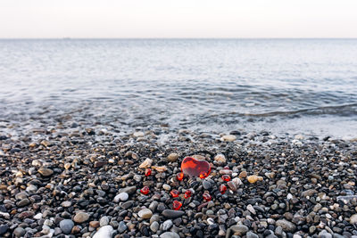 Close-up of heart shape pebbles on beach