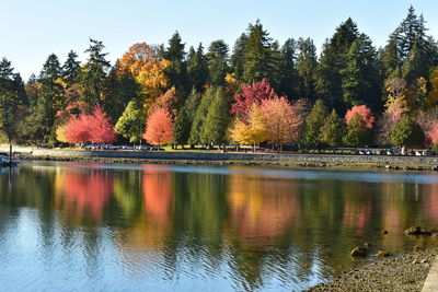 Scenic view of lake by trees during autumn
