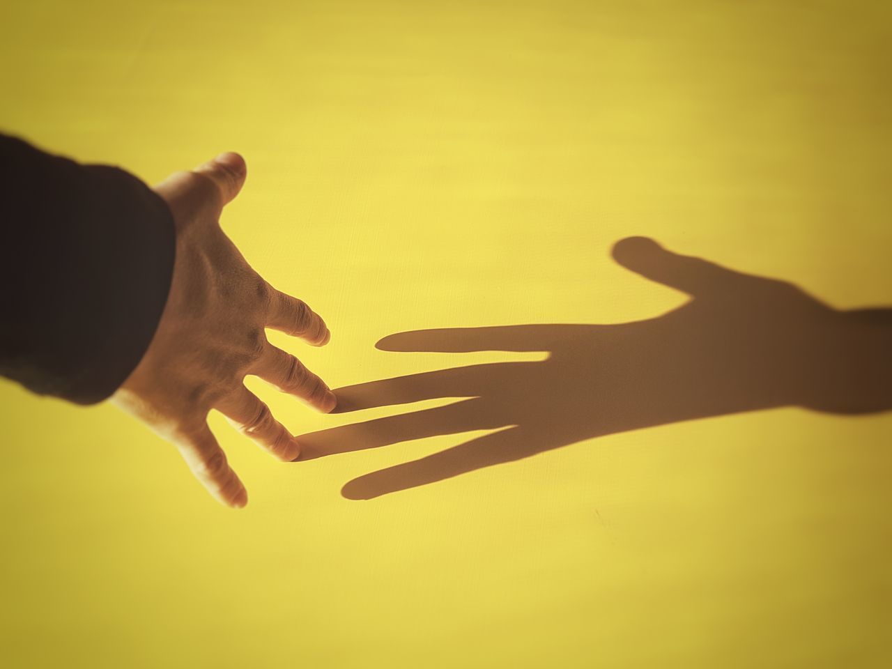 CLOSE-UP OF HAND TOUCHING YELLOW SHADOW