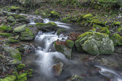 Stream flowing through rocks in forest