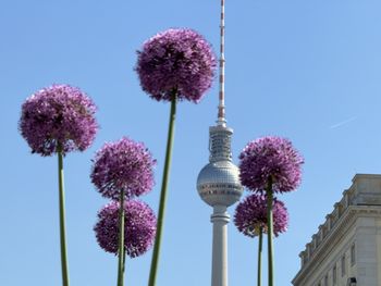 Low angle view of building against clear sky