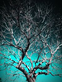 Low angle view of bare trees against sky