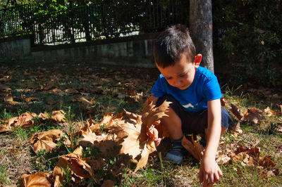 Boy holding autumn leaf while sitting on field