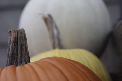 Close-up of bread on wood