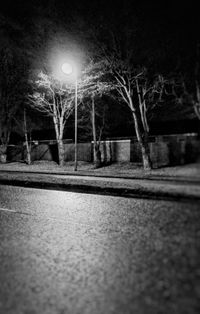 Illuminated trees at night