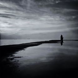 Bird flying over sea