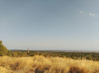 View of beach against sky