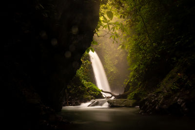 Scenic view of waterfall in forest