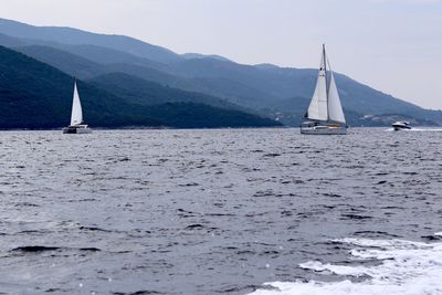 Sailboat sailing on sea by mountain against sky