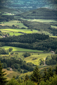 Scenic view of agricultural field