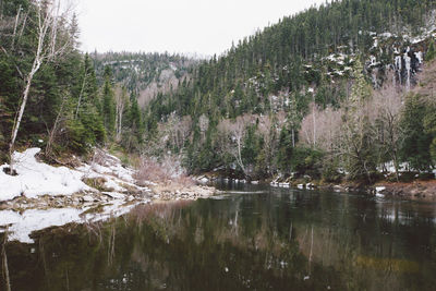 Scenic view of lake in forest against sky