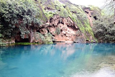 Scenic view of mountain by trees against sky
