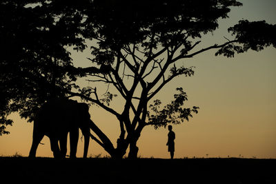 Silhouette man and elephant standing by tree on field against sky at sunset