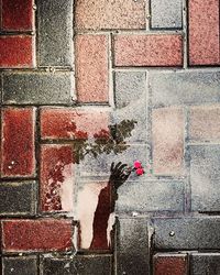 Close-up of red brick wall