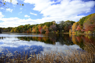 Scenic view of lake by trees against sky