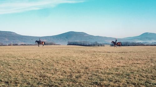 People riding horses on field by mountain against sky