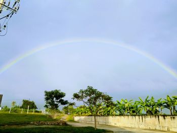 rainbow