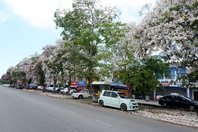 Cars on street in city against sky