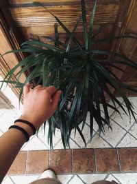 High angle view of woman hand on tiled floor