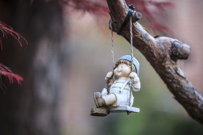 Close-up of stuffed toy hanging on tree