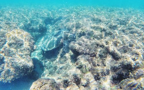 High angle view of blue sea