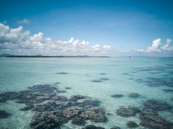 Scenic view of sea against blue sky