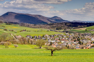 Scenic view of field against sky