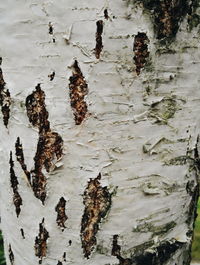 Full frame shot of weathered wall