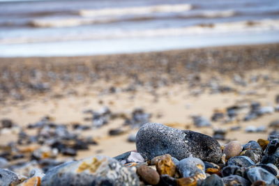 Close-up of pebbles at beach