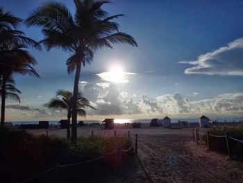 Scenic view of palm trees on beach against sky