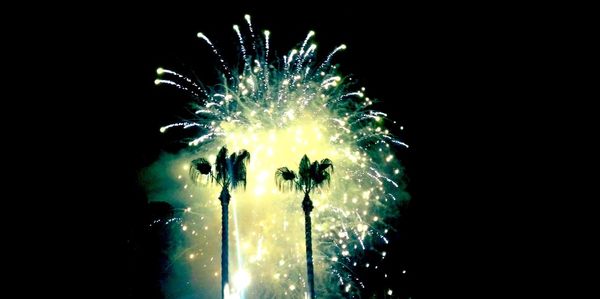 Low angle view of firework display at night