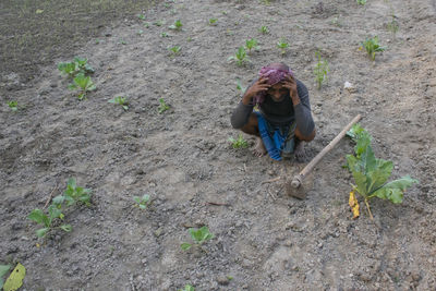 High angle view of girl holding plant on land