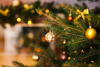 Close-up of christmas tree on plant