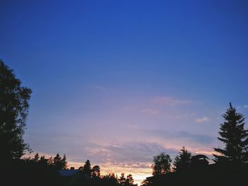 Low angle view of trees against sky