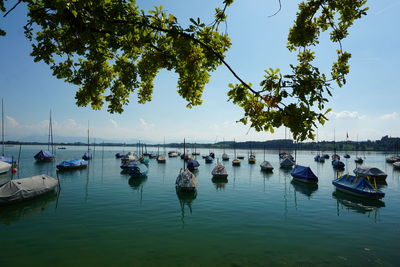 Boats moored in lake against sky