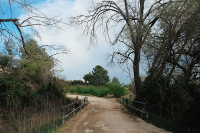 Road amidst trees against sky