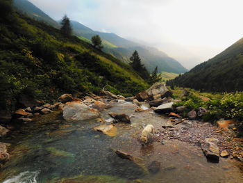 Stream along countryside landscape