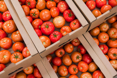 Box of fresh ripe red tomatoes. organic vegetables, small local farm, farming concept. fresh crops