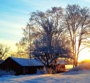 Scenic view of snow covered landscape