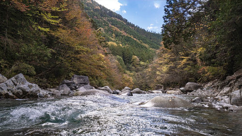 river