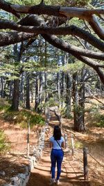 Rear view of woman walking in forest