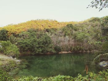 Scenic view of lake in forest against sky